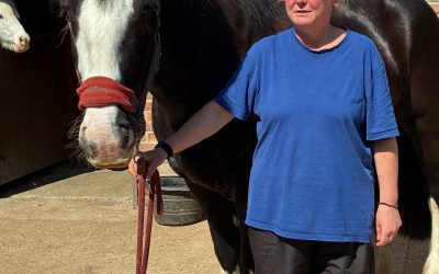 Leybourne Grange Riding Centre for Disabled People (LGRCD) Local IT disaster solved!
