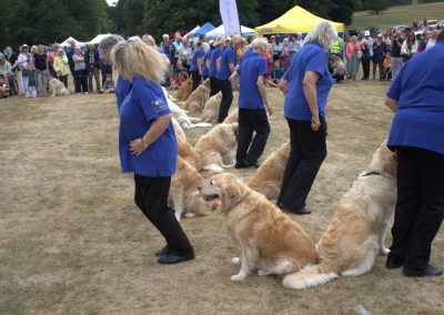 Southern Golden Retriever Society