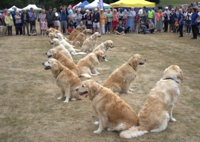 Southern Golden Retriever Society