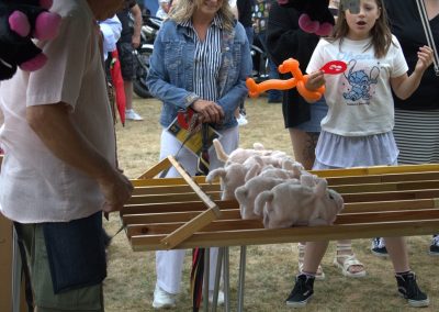Pig Racing