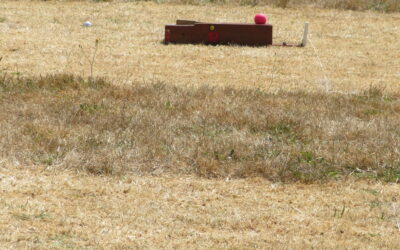 The Duncan Rouse Bat & Trap Trophy 2026
